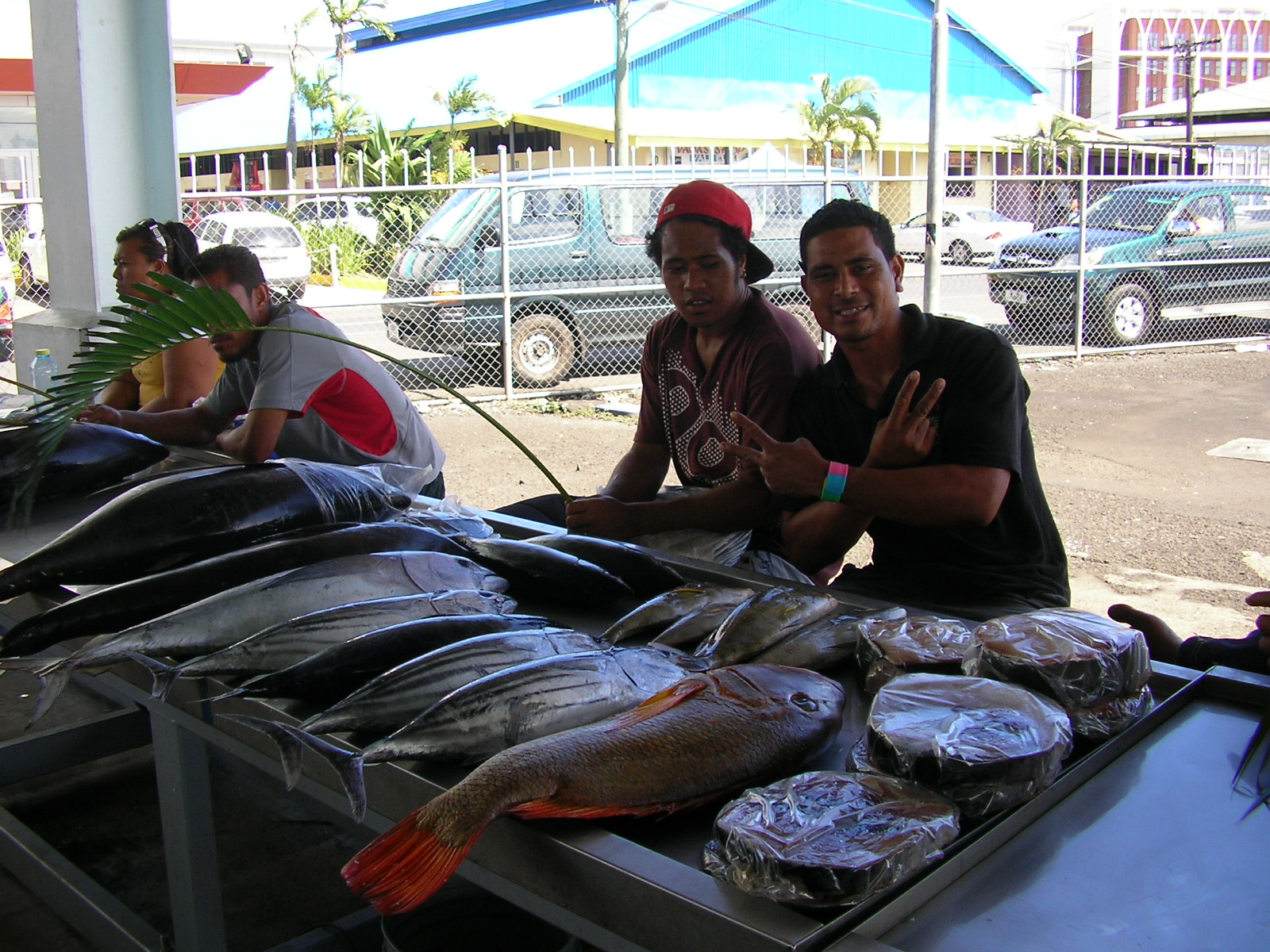 Glennis's Blog page..................... Samoan buses and