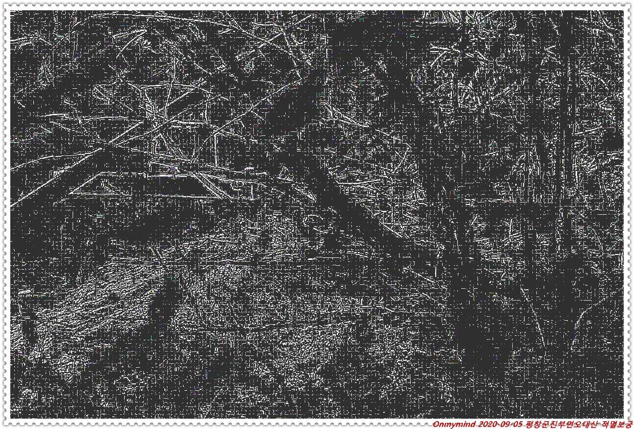 오대산 적멸보궁 오대산 적멸보궁