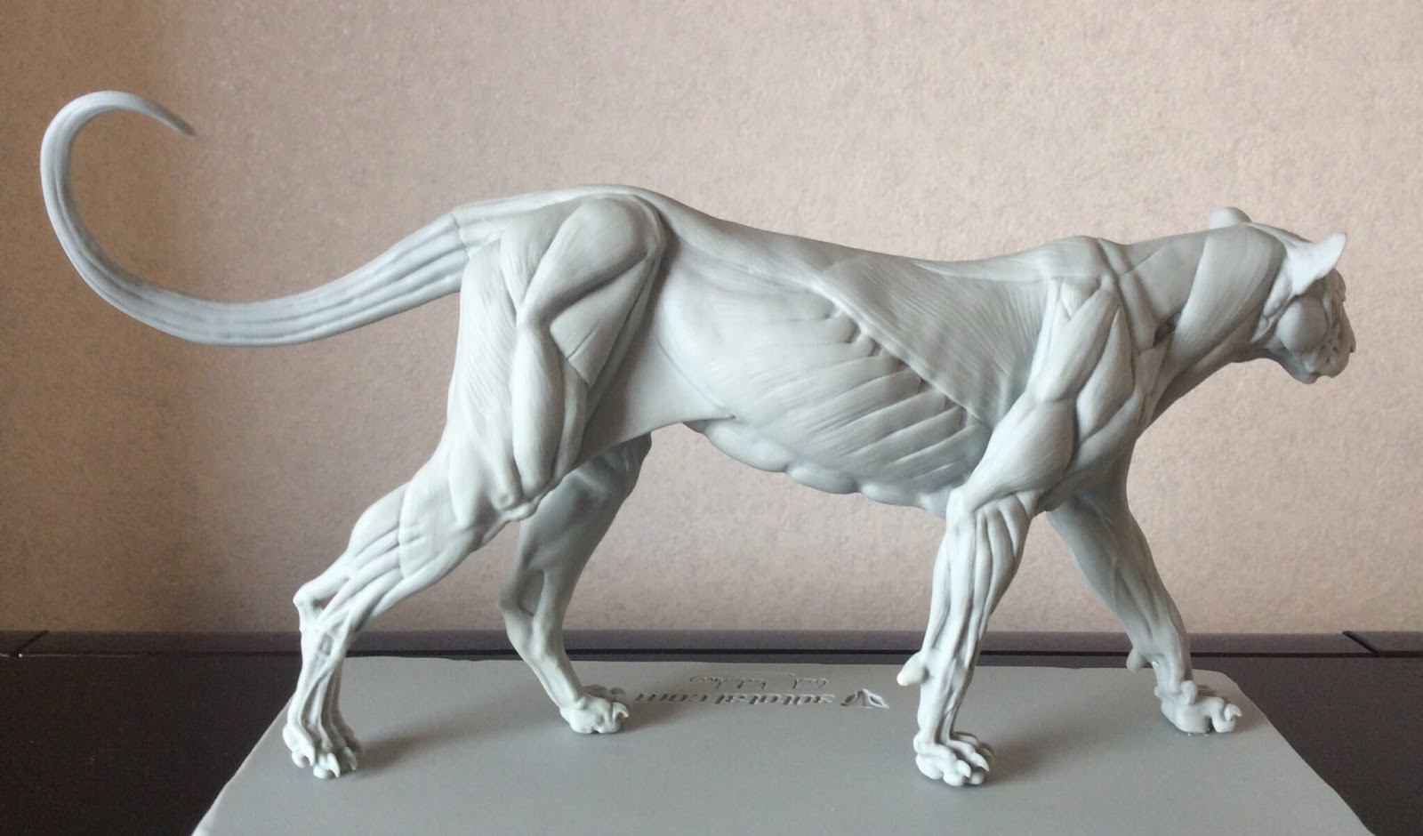 YASHIROSAN CG BLOG 3dtotal Anatomy