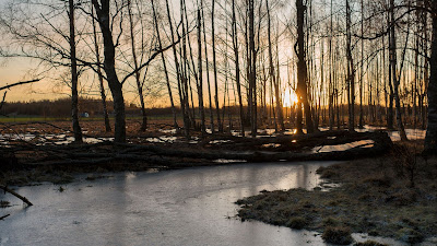 HD wallpaper Dawn, Stream, Ice, trees, nature