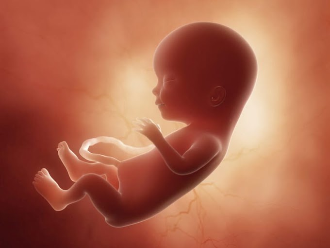 El "Nuevo Nacimiento" desde la perspectiva judía