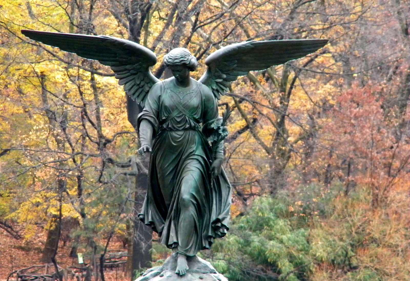 Autumn New York City Fall Colors Central Park Public Domain Clip Art