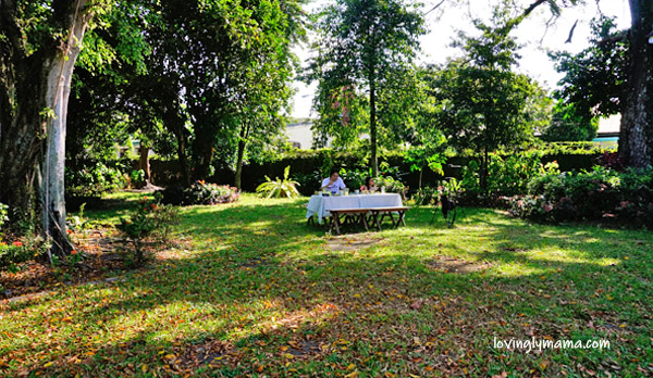 Delfin Ledesma Ancestral House with pool - Silay Airbnb - Bacolod blogger - Bacolod mommy blogger - family travel - breakfast in the garden - Filipino breakfast - landscaping - yard - Silay City hotel