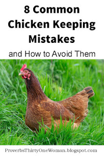 https://proverbsthirtyonewoman.blogspot.com/2017/05/8-common-chicken-keeping-mistakes-and.html