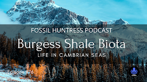 BURGESS SHALE BIOTA / EPISODE #76