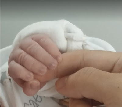 Découvrez la splendeur de l’henné pied en 68 photos inspirantes