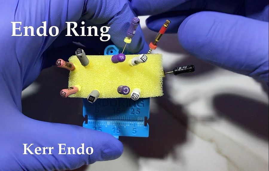 ENDODONTICS Kerr Endo Ring Simple setup tips