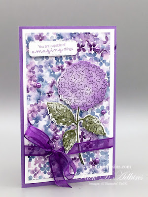 My alternative project for the CSTB Tutorial Blog Hop for Match featuring Hydrangea Haven Click here to learn more