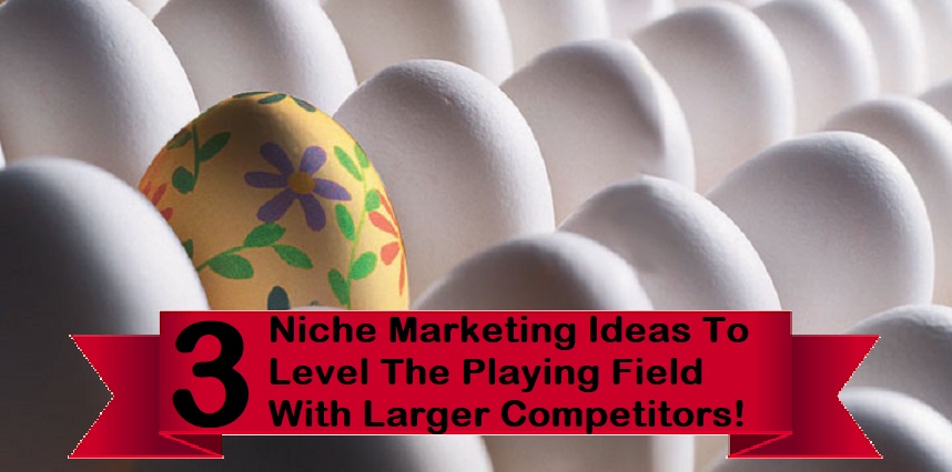 niche market competition