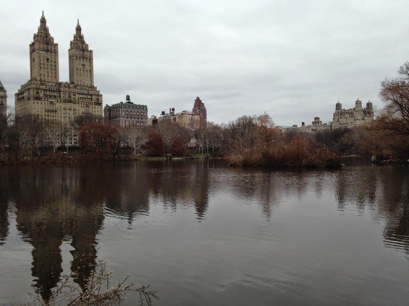 Reluctant Rebel Central Park NYC reluctant-rebel-central-park-nyc