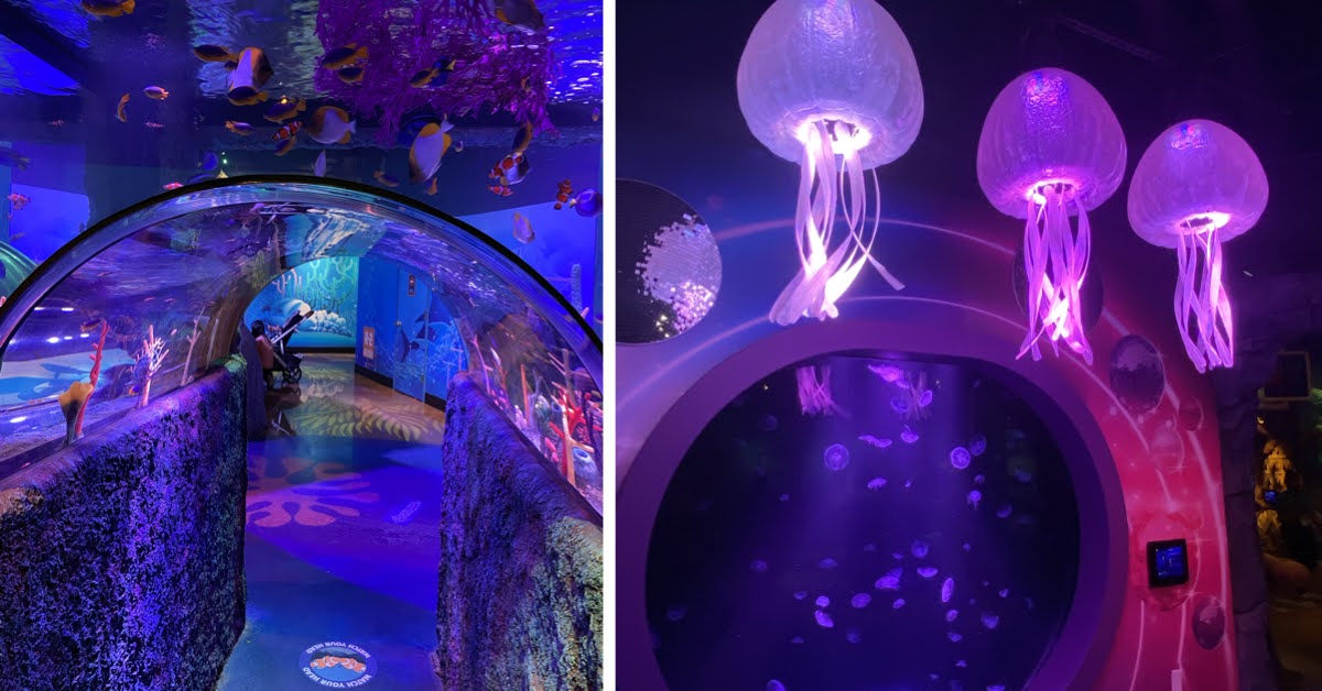 New Jersey SEA LIFE Aquarium and LEGOLAND Discovery Center New Jersey