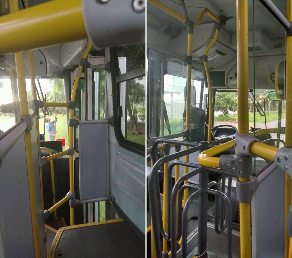 Motorista estaciona ônibus com passageiras para colher mangas 2 motorista manda
