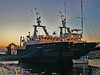 proslava 100 godina tvornice Sardina Postira otok Brač slike proslava 100 godina tvornice Sardina Postira otok Brač slike
