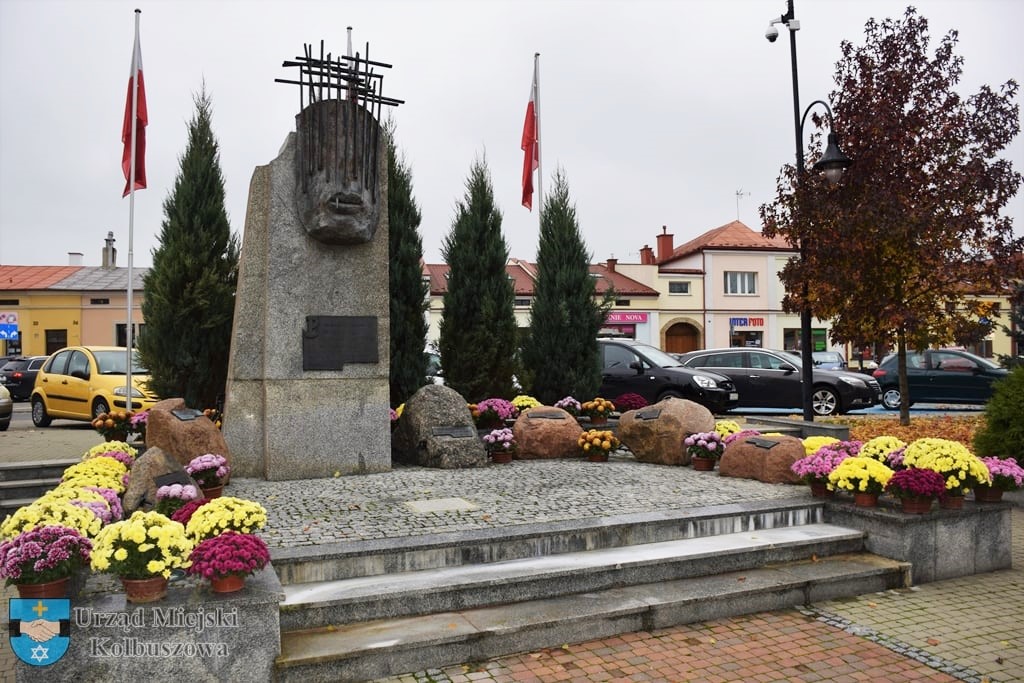 Chryzantemy w centrum Kolbuszowej - zdjęcie nr 3.