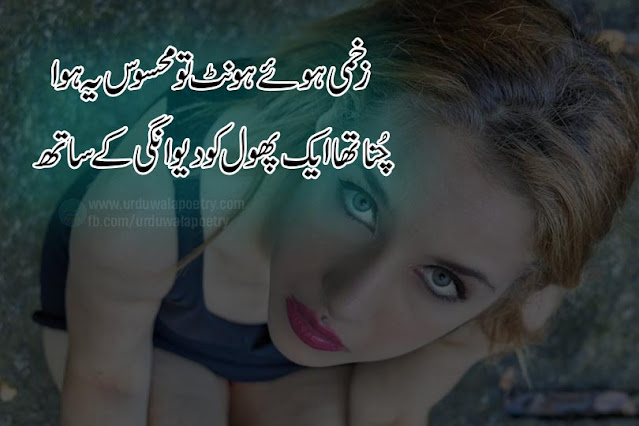 Top-10-Best-Zakham-Poetry-in-Urdu-Zakham Shayari-in-2-Line zakham-shayari-in-2-line