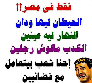 421d090ff8147c8c675310cf0868cca6