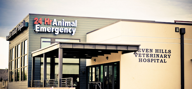 Emergency Animal Hospital Near Me