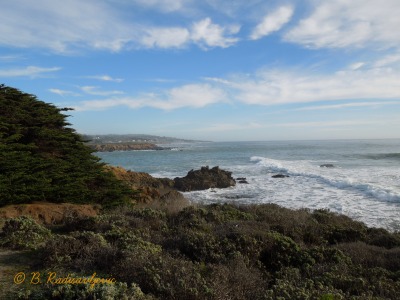 Ocean Photos from the California Central Coast