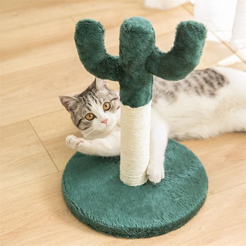 cat cactus tree