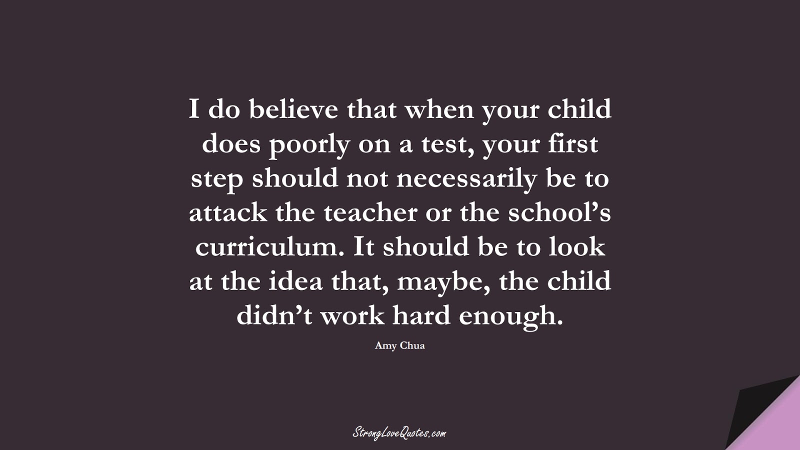 I do believe that when your child does poorly on a test, your first step should not necessarily be to attack the teacher or the school’s curriculum. It should be to look at the idea that, maybe, the child didn’t work hard enough. (Amy Chua);  #EducationQuotes
