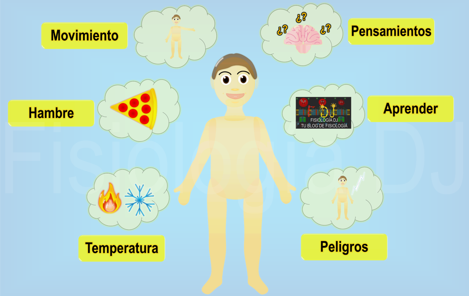 Fisiología DJ Potencial de acción Potencial de acción neuronal Potencial de acción fisiología