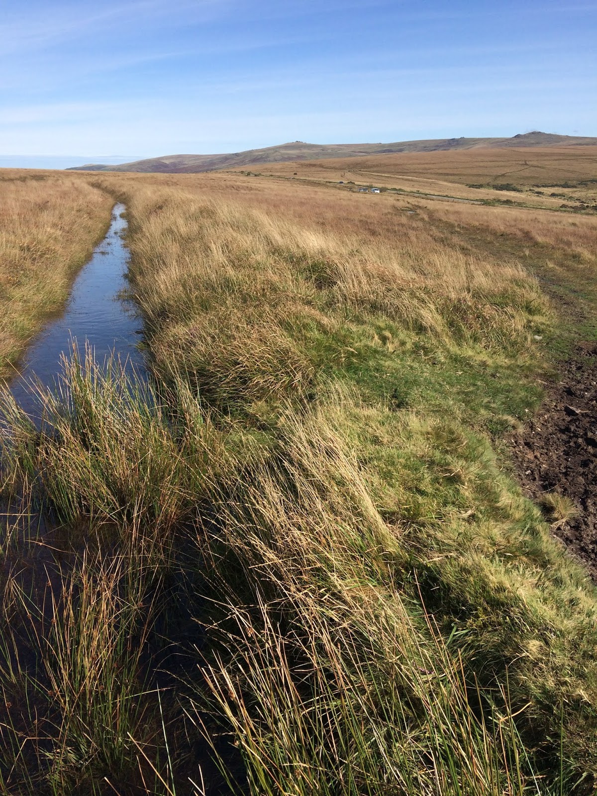 Max Piper Tor Bagger Dartmoor Brentor Church and Gibbet Hill