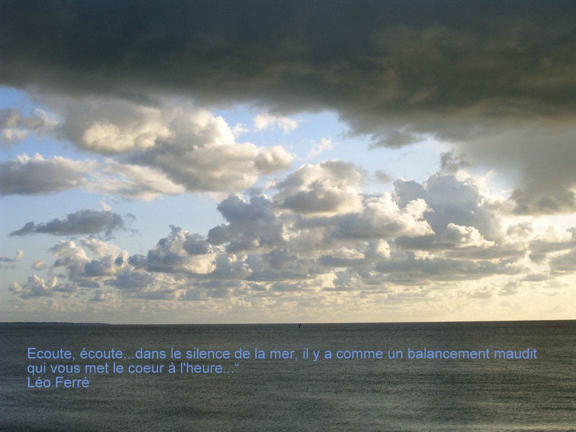 La Mémoire Et La Mer Texte Intégral COULEURS D'AENCRE: les coquillages incompris