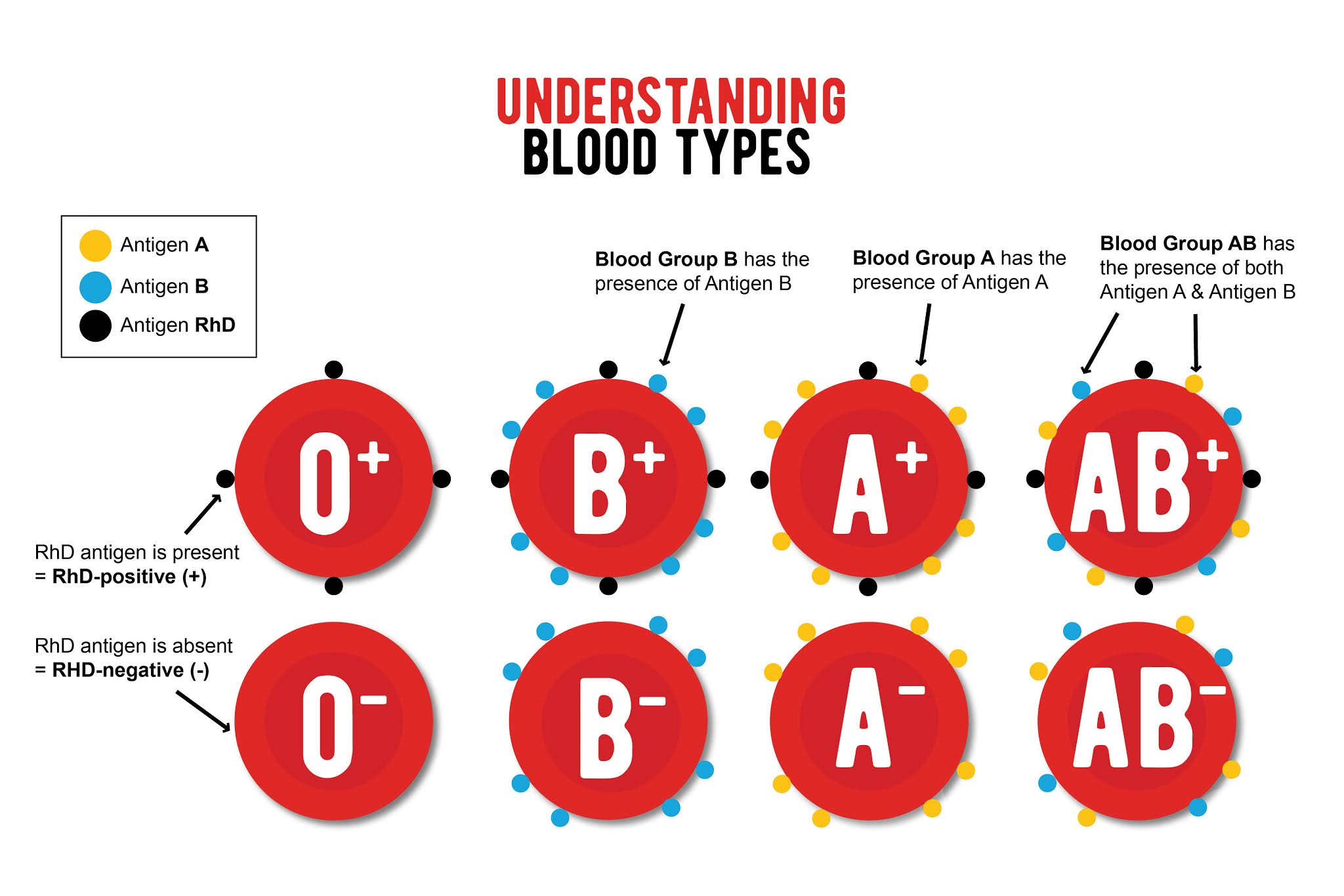 blood-groups-know-your-personality-wrytin