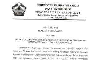 Seleksi CPNS dan PPPK Kabupaten Bangli Tahun 2021