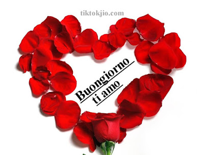 Buongiorno Amore Buongiorno Amore Mio Immagini Nuove Tiktokjio