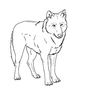 Desenhos de lobo para colorir