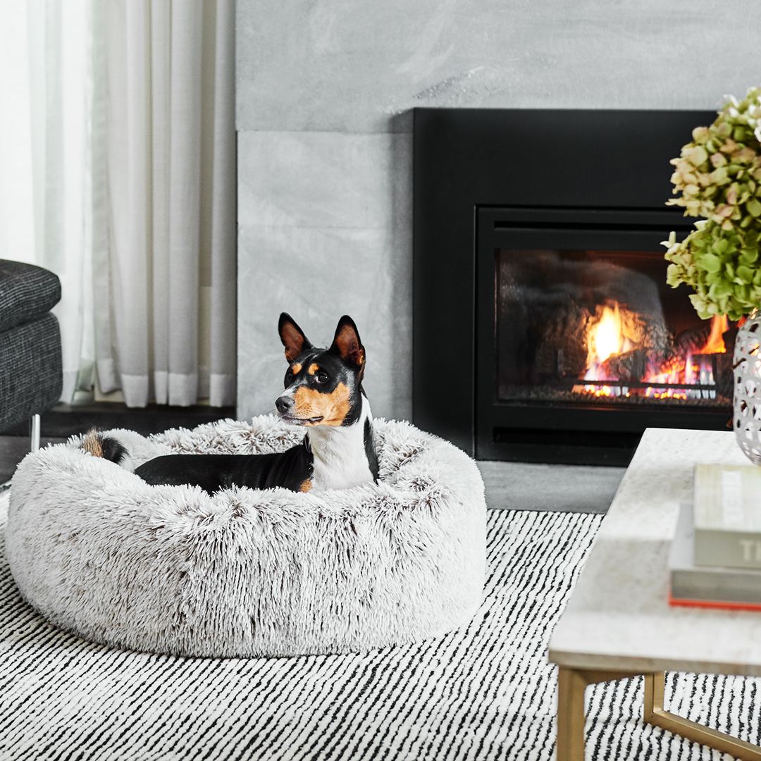 20 Winter Warmers for Dogs in 2020 Australian Dog Lover