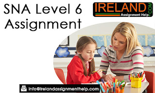 Homework help ireland