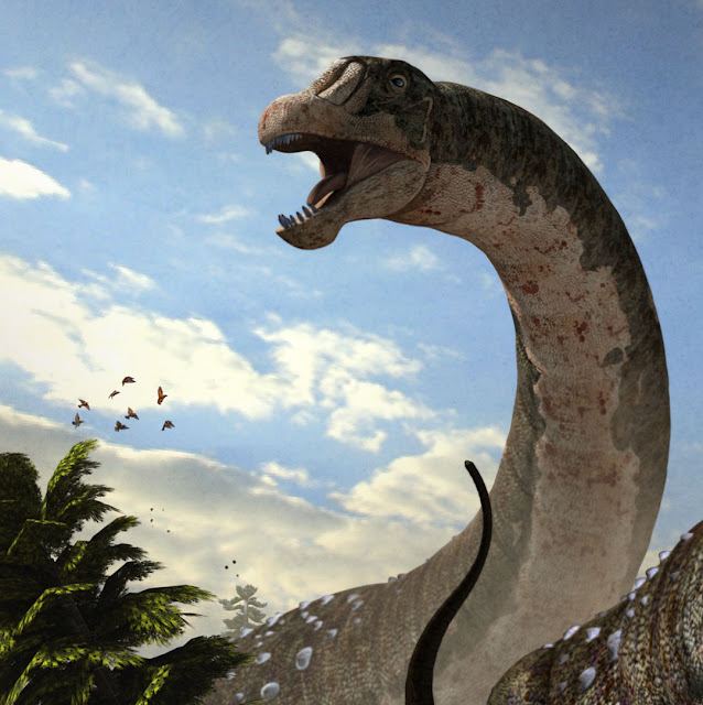 Dreadnoughtus schrani, detail.