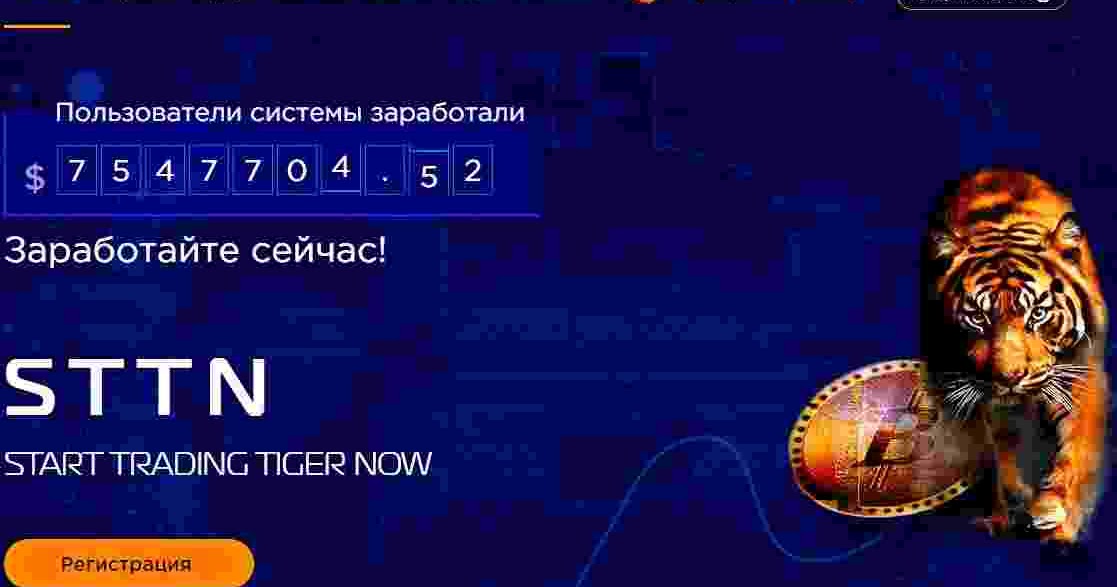 Tiger trade стакан. Тайгер трейд. Tiger trade аналог. Tigertrade стакан. Tigertrade стакан.