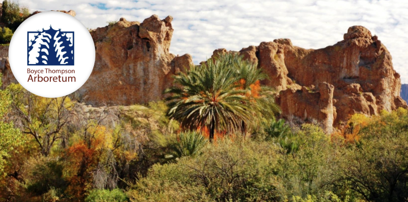 bryce thompson arboretum bogo coupon for may 12 2017 with printed copy of coupon bring a picnic lunch and enjoy the day strolling through our stunning - Desert Botanical Garden Coupon bryce thompson arboretum bogo coupon for may 12 2017 with printed copy of coupon bring a picnic lunch and enjoy the day strolling through our stunning - Desert Botanical Garden Coupon