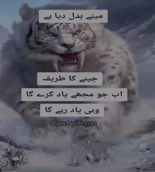 Very Sad Poetry in Urdu Images Download | Deep Shayari Urdu