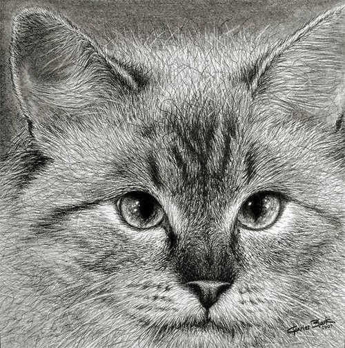 17-Charles-Black-Hyper-Realistic-Pencil-Drawings-of-Dogs-www-designstack-co