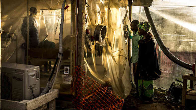 إفريقيا، صندوق النقد الدوليّ، ايبولا