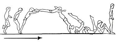 من مواصفات الأداء الصحيح للخبرة الدحرجة الخلفية بالمرور بوضع الوقوف على اليدين وضع الكفين على الأرض يكون بجانب الرأس واتجاه أطراف الأصابع للكتفين