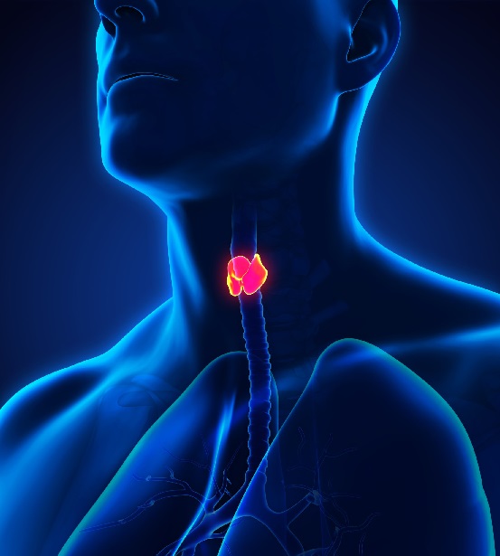Thyrolin thyroid medicine 5 mg