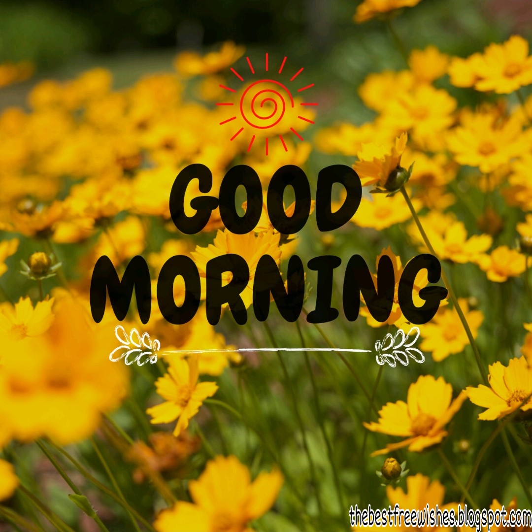 Good Morning Images With Flowers
