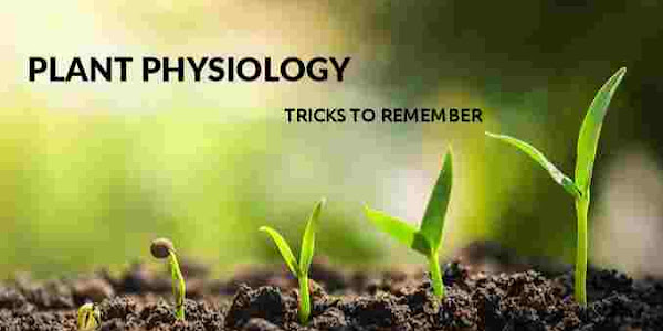 Plant Physiology Tricks | NEET Updates