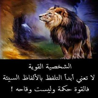 43c199b9c61b074b94b7a717cea39fff