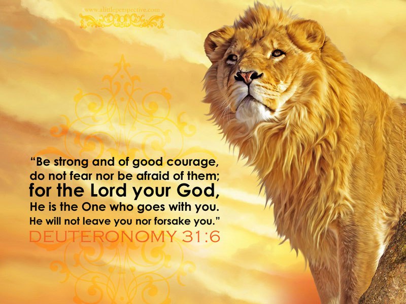 fear not for the lord thy god is with you