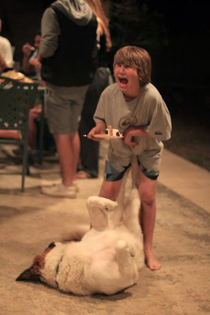 Fotos divertidas tomadas en el momento justo