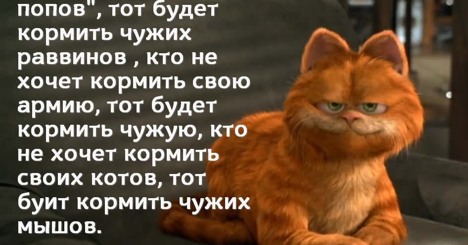 грудное и искусственное вскармливание. кормить свою армию будешь кормить. питание родильницы. кормление собак. здоровое питание кормящей мамы.