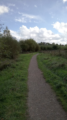 Looking along the gravel path towards the reserve.