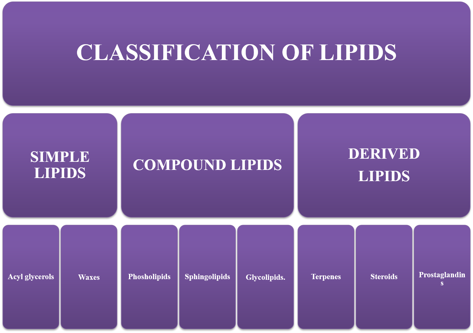 CHAPTER 1 BIOMOLECULES PART 2 LIPIDS