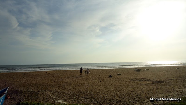 DSC05252